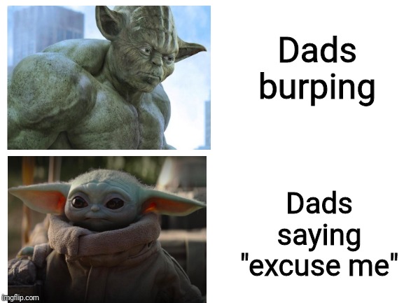 Blank White Template | Dads burping; Dads saying "excuse me" | image tagged in blank white template | made w/ Imgflip meme maker