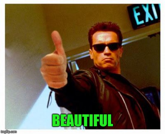 terminator thumbs up | BEAUTIFUL | image tagged in terminator thumbs up | made w/ Imgflip meme maker
