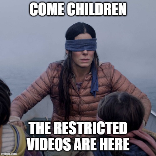 Bird Box Meme | COME CHILDREN; THE RESTRICTED VIDEOS ARE HERE | image tagged in memes,bird box | made w/ Imgflip meme maker