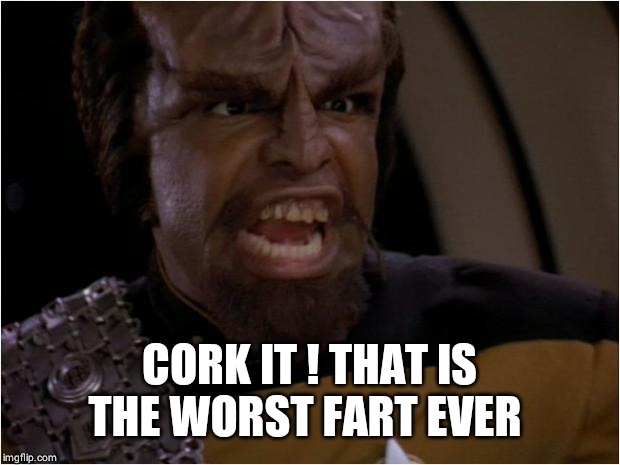 Lt Worf | CORK IT ! THAT IS THE WORST FART EVER | image tagged in lt worf | made w/ Imgflip meme maker