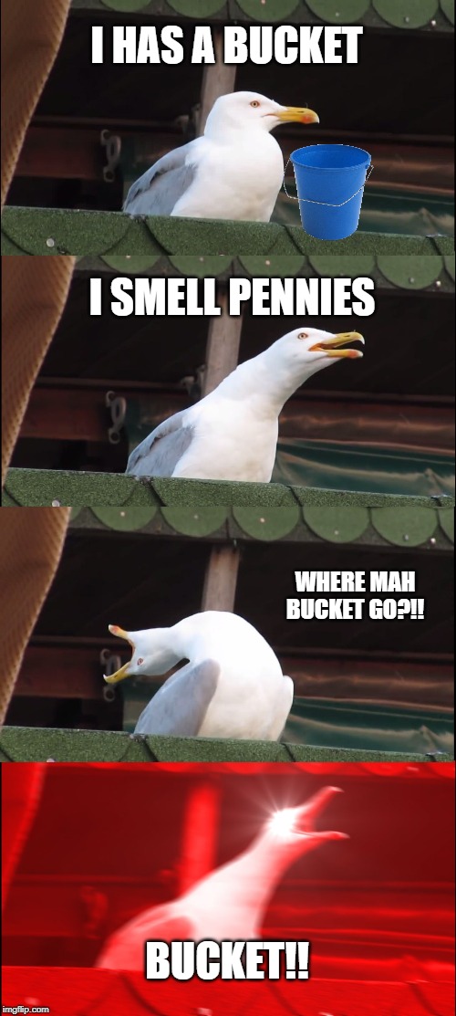 Inhaling Seagull | I HAS A BUCKET; I SMELL PENNIES; WHERE MAH BUCKET GO?!! BUCKET!! | image tagged in memes,inhaling seagull | made w/ Imgflip meme maker