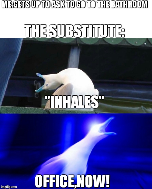 its true | ME:GETS UP TO ASK TO GO TO THE BATHROOM; THE SUBSTITUTE:; "INHALES"; OFFICE,NOW! | image tagged in boy seagull | made w/ Imgflip meme maker
