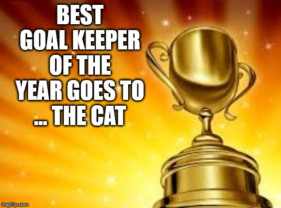 Award | BEST GOAL KEEPER OF THE YEAR GOES TO ... THE CAT | image tagged in award | made w/ Imgflip meme maker