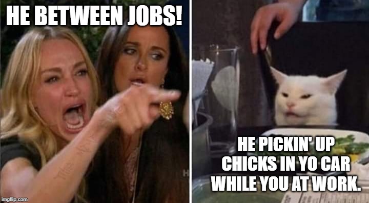 SALTY CAT | HE BETWEEN JOBS! HE PICKIN' UP CHICKS IN YO CAR WHILE YOU AT WORK. | image tagged in cheating,restaurant,kitty | made w/ Imgflip meme maker