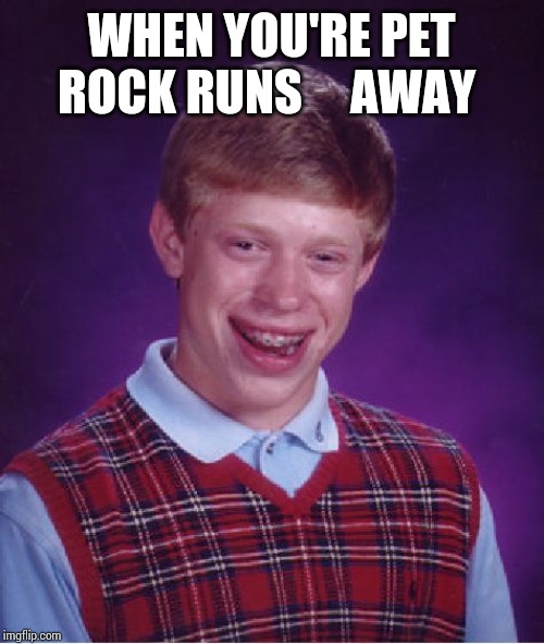 Bad Luck Brian Meme | WHEN YOU'RE PET ROCK RUNS     AWAY | image tagged in memes,bad luck brian | made w/ Imgflip meme maker