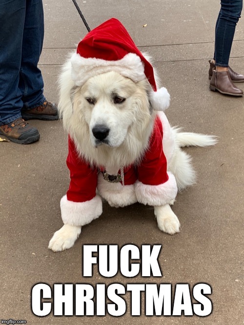 Fuck Christmas, Vol. 1 | image tagged in fuck christmas doggo,christmas,dog,upvote,upvote begging,slavery | made w/ Imgflip meme maker