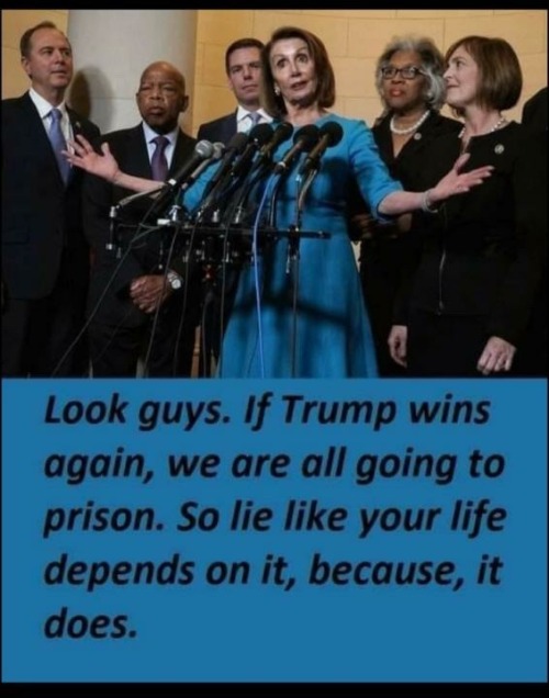 If Trump wins again, we are all going to prison. | image tagged in pretty little liars,liars club,liar liar pants on fire,nancy pelosi is crazy,adam schiff,crazy liberals | made w/ Imgflip meme maker