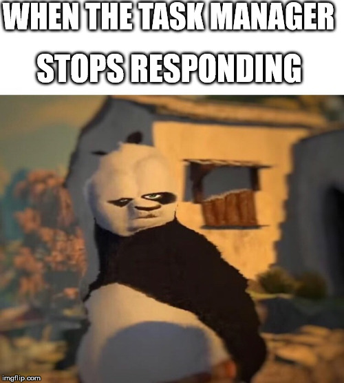 Drunk Kung Fu Panda | WHEN THE TASK MANAGER; STOPS RESPONDING | image tagged in drunk kung fu panda | made w/ Imgflip meme maker
