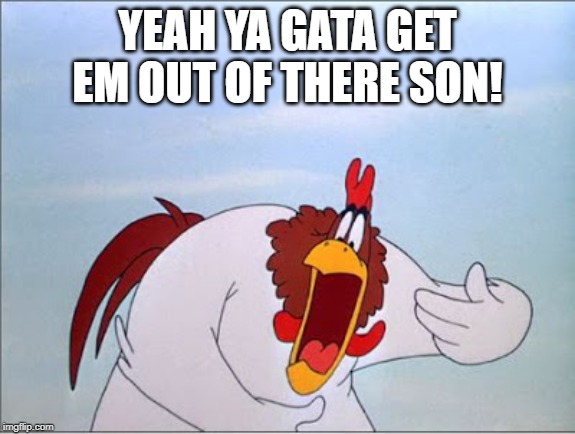 foghorn | YEAH YA GATA GET EM OUT OF THERE SON! | image tagged in foghorn | made w/ Imgflip meme maker