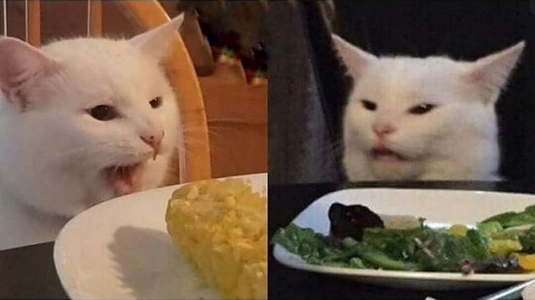 Cat Talking To Cat Blank Meme Template