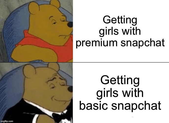 Tuxedo Winnie The Pooh | Getting girls with premium snapchat; Getting girls with basic snapchat | image tagged in memes,tuxedo winnie the pooh | made w/ Imgflip meme maker