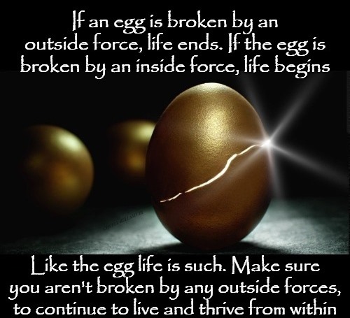 Egg Inside Outside Force Of Life Blank Meme Template