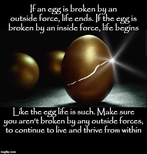 Egg Inside Outside Force Of Life | image tagged in egg inside outside force of life | made w/ Imgflip meme maker
