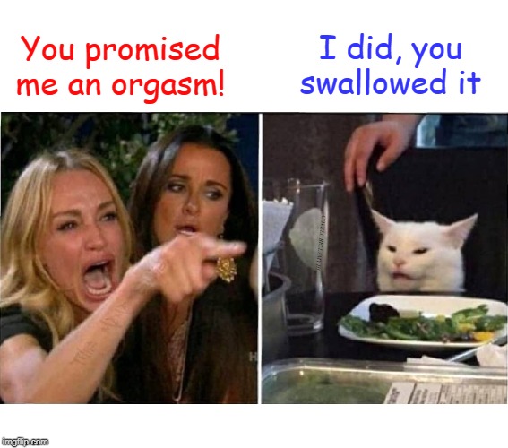 Cat Orgasm