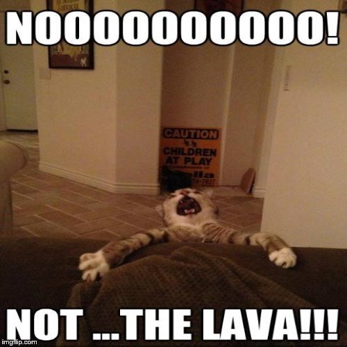 cats is scared of lava | image tagged in cats and dogs,fuuny | made w/ Imgflip meme maker