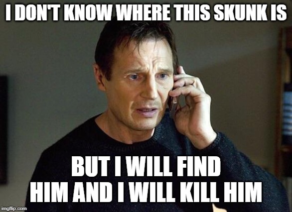 Skunk | I DON'T KNOW WHERE THIS SKUNK IS; BUT I WILL FIND HIM AND I WILL KILL HIM | image tagged in liam neeson taken,skunk | made w/ Imgflip meme maker