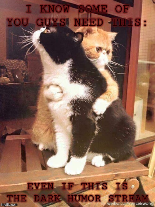 cats hugging | I KNOW SOME OF YOU GUYS NEED THIS:; EVEN IF THIS IS THE DARK HUMOR STREAM | image tagged in cats hugging | made w/ Imgflip meme maker