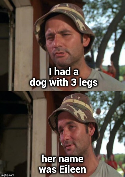Bill Murray bad joke | I had a dog with 3 legs her name was Eileen | image tagged in bill murray bad joke | made w/ Imgflip meme maker