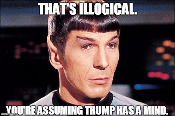 Condescending Spock | THAT'S ILLOGICAL. YOU'RE ASSUMING TRUMP HAS A MIND. | image tagged in condescending spock | made w/ Imgflip meme maker