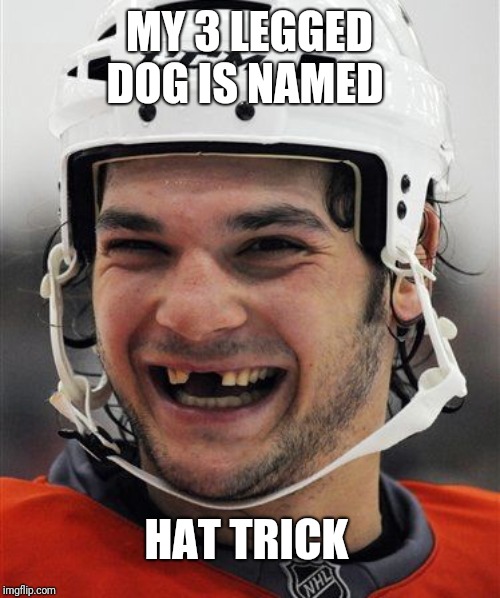 Hockey Teeth | MY 3 LEGGED DOG IS NAMED HAT TRICK | image tagged in hockey teeth | made w/ Imgflip meme maker