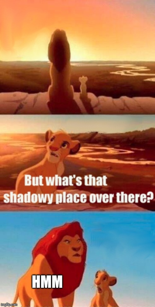 Simba Shadowy Place Meme | HMM | image tagged in memes,simba shadowy place | made w/ Imgflip meme maker