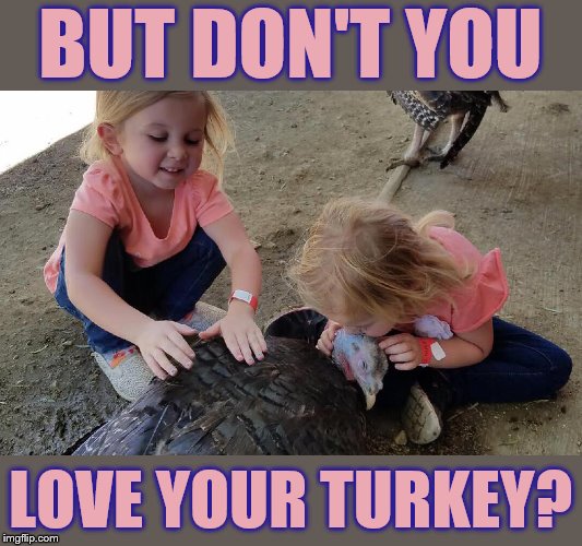 BUT DON'T YOU LOVE YOUR TURKEY? | made w/ Imgflip meme maker