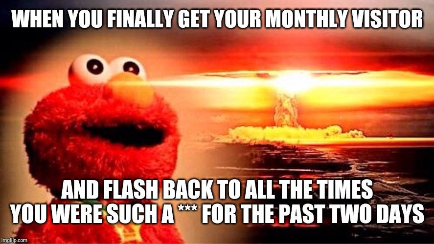 elmo nuclear explosion | WHEN YOU FINALLY GET YOUR MONTHLY VISITOR; AND FLASH BACK TO ALL THE TIMES YOU WERE SUCH A *** FOR THE PAST TWO DAYS | image tagged in elmo nuclear explosion | made w/ Imgflip meme maker