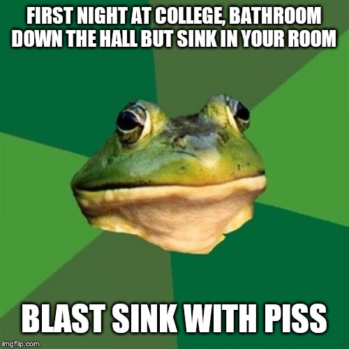 Foul Bachelor Frog Meme | FIRST NIGHT AT COLLEGE, BATHROOM DOWN THE HALL BUT SINK IN YOUR ROOM; BLAST SINK WITH PISS | image tagged in memes,foul bachelor frog | made w/ Imgflip meme maker