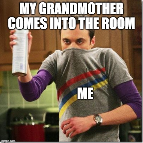 air freshener sheldon cooper | MY GRANDMOTHER COMES INTO THE ROOM; ME | image tagged in air freshener sheldon cooper | made w/ Imgflip meme maker