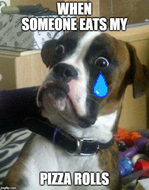 Surprised Dog | WHEN SOMEONE EATS MY; PIZZA ROLLS | image tagged in surprised dog | made w/ Imgflip meme maker