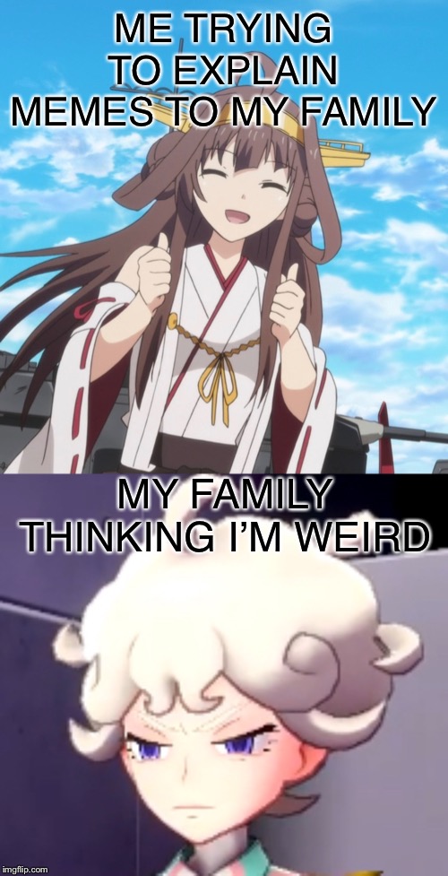 Memes | ME TRYING TO EXPLAIN MEMES TO MY FAMILY; MY FAMILY THINKING I’M WEIRD | image tagged in kantai collection | made w/ Imgflip meme maker