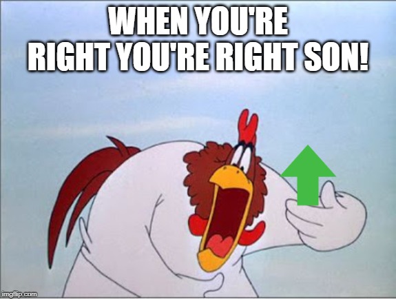 foghorn | WHEN YOU'RE RIGHT YOU'RE RIGHT SON! | image tagged in foghorn | made w/ Imgflip meme maker