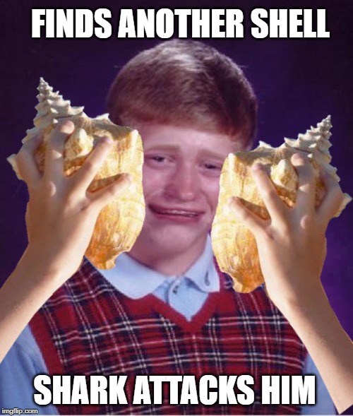 Bad Luck Shell - Imgflip