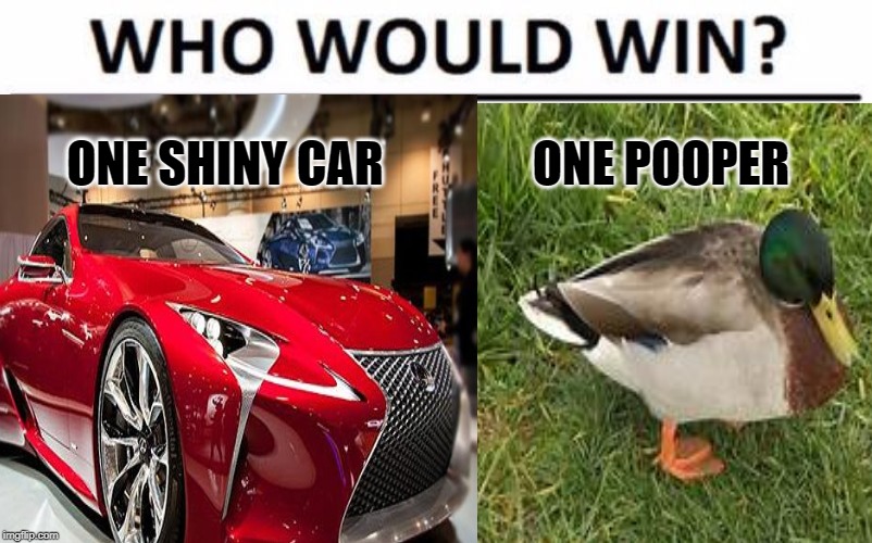 Who Would Win? | ONE SHINY CAR; ONE POOPER | image tagged in sorry not sorry | made w/ Imgflip meme maker