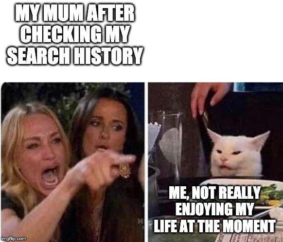 Lady screams at cat | MY MUM AFTER CHECKING MY SEARCH HISTORY; ME, NOT REALLY ENJOYING MY LIFE AT THE MOMENT | image tagged in lady screams at cat | made w/ Imgflip meme maker