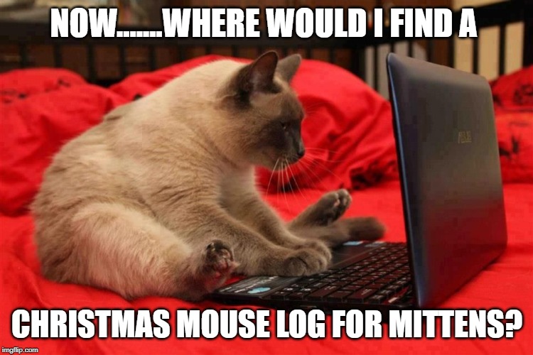 Cat computer | NOW.......WHERE WOULD I FIND A; CHRISTMAS MOUSE LOG FOR MITTENS? | image tagged in cat computer | made w/ Imgflip meme maker