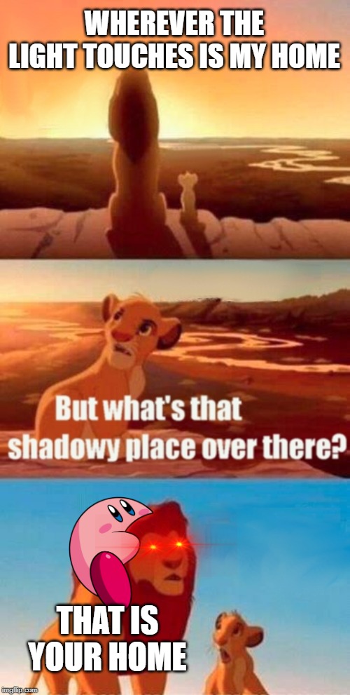 Simba Shadowy Place | WHEREVER THE LIGHT TOUCHES IS MY HOME; THAT IS YOUR HOME | image tagged in memes,simba shadowy place | made w/ Imgflip meme maker