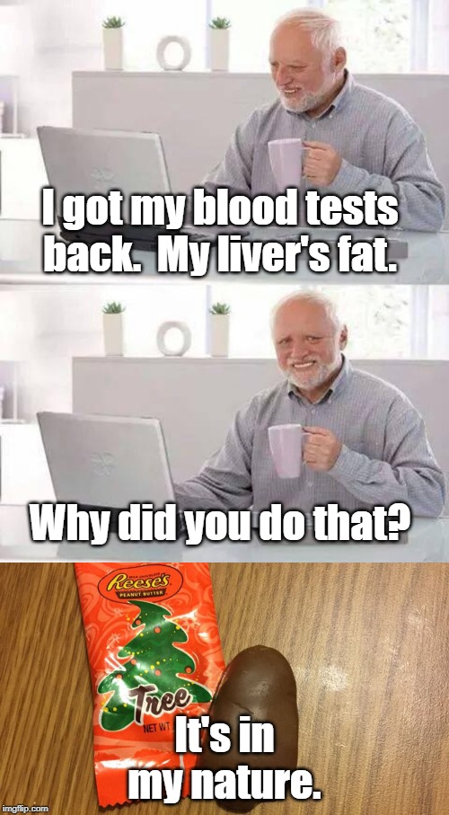 When you get a blood test during the holidays. | I got my blood tests back.  My liver's fat. Why did you do that? It's in my nature. | image tagged in memes,hide the pain harold,reese's | made w/ Imgflip meme maker