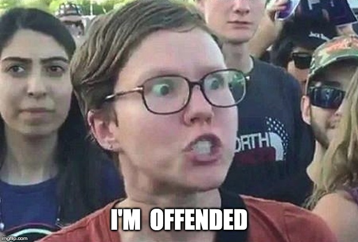 Triggered Liberal | I'M  OFFENDED | image tagged in triggered liberal | made w/ Imgflip meme maker