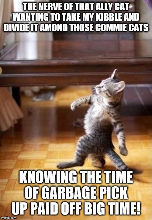 Cool Cat Stroll Meme | THE NERVE OF THAT ALLY CAT WANTING TO TAKE MY KIBBLE AND DIVIDE IT AMONG THOSE COMMIE CATS; KNOWING THE TIME OF GARBAGE PICK UP PAID OFF BIG TIME! | image tagged in memes,cool cat stroll,political meme | made w/ Imgflip meme maker