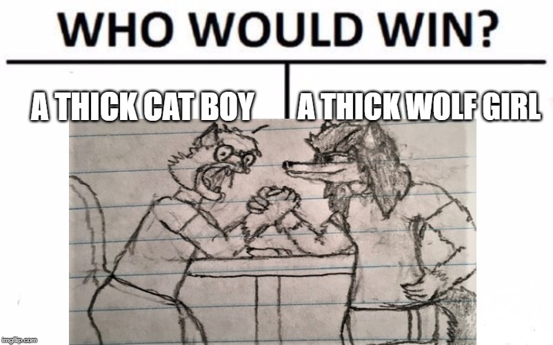 Put two furries against each other | A THICK CAT BOY; A THICK WOLF GIRL | image tagged in memes,funny,who would win,furry,cats | made w/ Imgflip meme maker