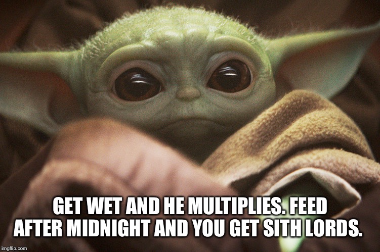 Baby Yoda Gremlin | GET WET AND HE MULTIPLIES. FEED AFTER MIDNIGHT AND YOU GET SITH LORDS. | image tagged in baby yoda gremlin | made w/ Imgflip meme maker