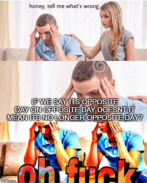 Opposite Day Pun | IF WE SAY ITS OPPOSITE DAY ON OPPOSITE DAY DOESNT IT MEAN ITS NO LONGER OPPOSITE DAY? | image tagged in honey whats wrong,pun,opposite day,opposite,oh no | made w/ Imgflip meme maker