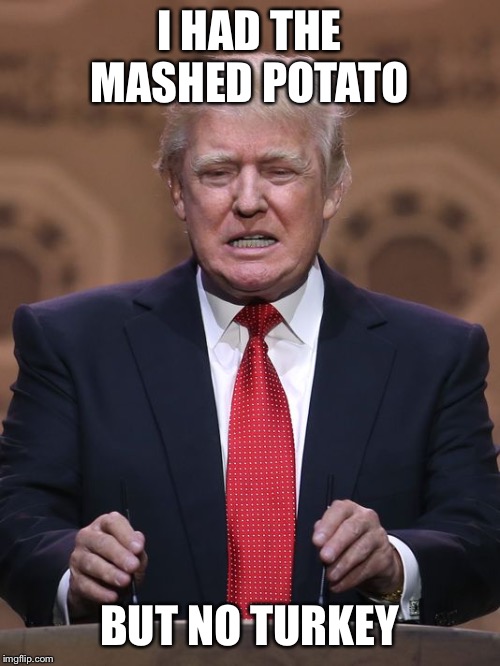 Donald Trump | I HAD THE MASHED POTATO BUT NO TURKEY | image tagged in donald trump | made w/ Imgflip meme maker