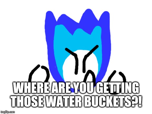 Blank White Template | WHERE ARE YOU GETTING THOSE WATER BUCKETS?! | image tagged in blank white template | made w/ Imgflip meme maker