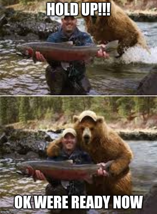 in the smoky mountains | HOLD UP!!! OK WERE READY NOW | image tagged in fish,bear,confused | made w/ Imgflip meme maker