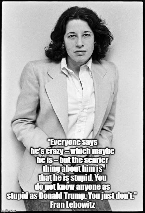 My White House Informant Says: "Trump Doesn't Know Anything. And He Doesn't Want To Know Anything." | “Everyone says he's crazy – which maybe he is – but the scarier thing about him is that he is stupid. You do not know anyone as stupid as Donald Trump. You just don’t.” 
Fran Lebowitz | image tagged in trump is an underperforming middle school bully,dimwit donald,donald dunce | made w/ Imgflip meme maker