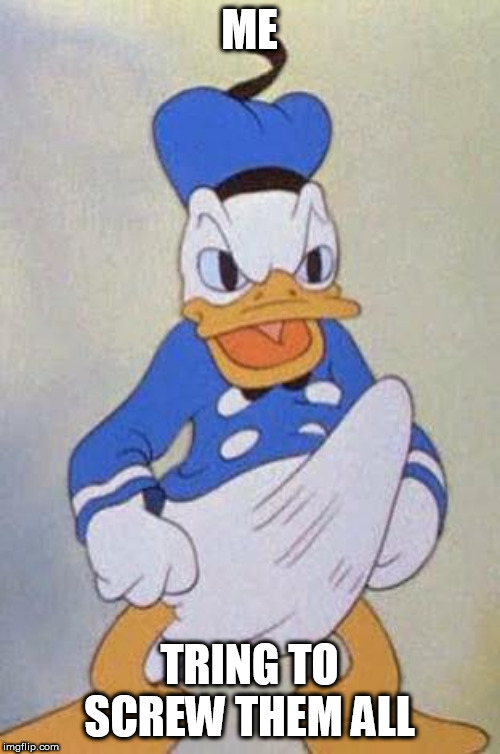 Horny Donald Duck | ME TRING TO SCREW THEM ALL | image tagged in horny donald duck | made w/ Imgflip meme maker