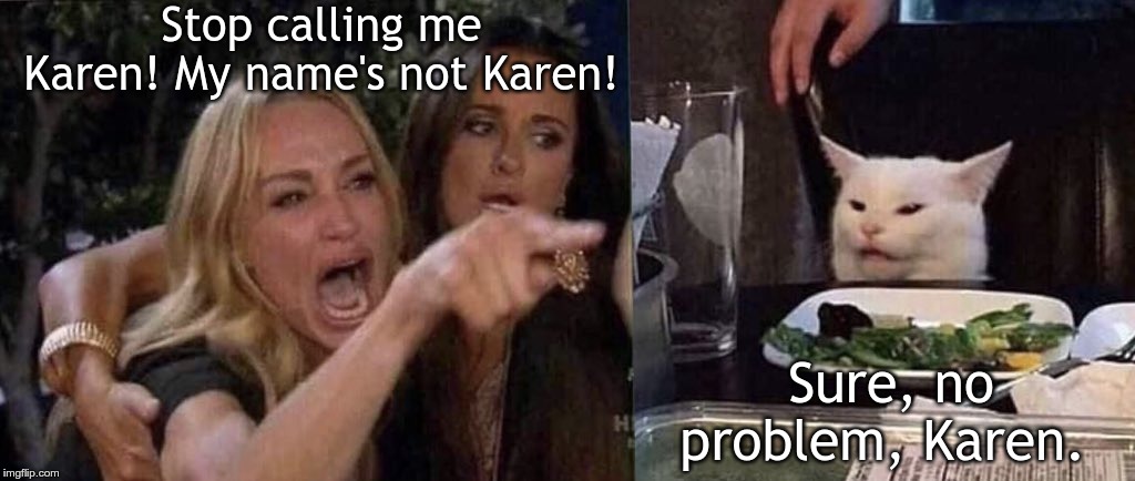 woman yelling at cat | Stop calling me Karen! My name's not Karen! Sure, no problem, Karen. | image tagged in woman yelling at cat | made w/ Imgflip meme maker