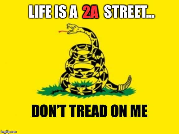 21st Century Gadsden (1775-2020) | 2A; LIFE IS A  2A  STREET... DON’T TREAD ON ME | image tagged in gadsden flag,second amendment,don't tread on me | made w/ Imgflip meme maker